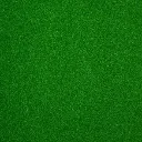 FSN_Green.webp