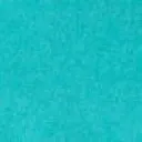 FSN_Dream-blue.webp