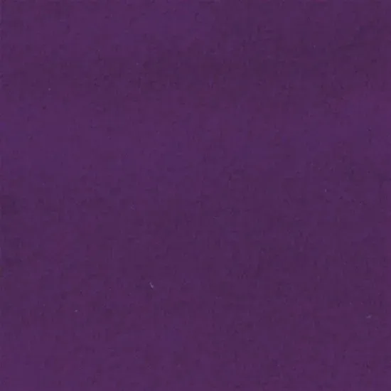 FSN_Purple.webp