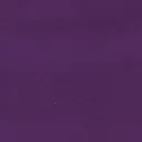 FSN_Purple.webp