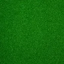FSN_Green.webp