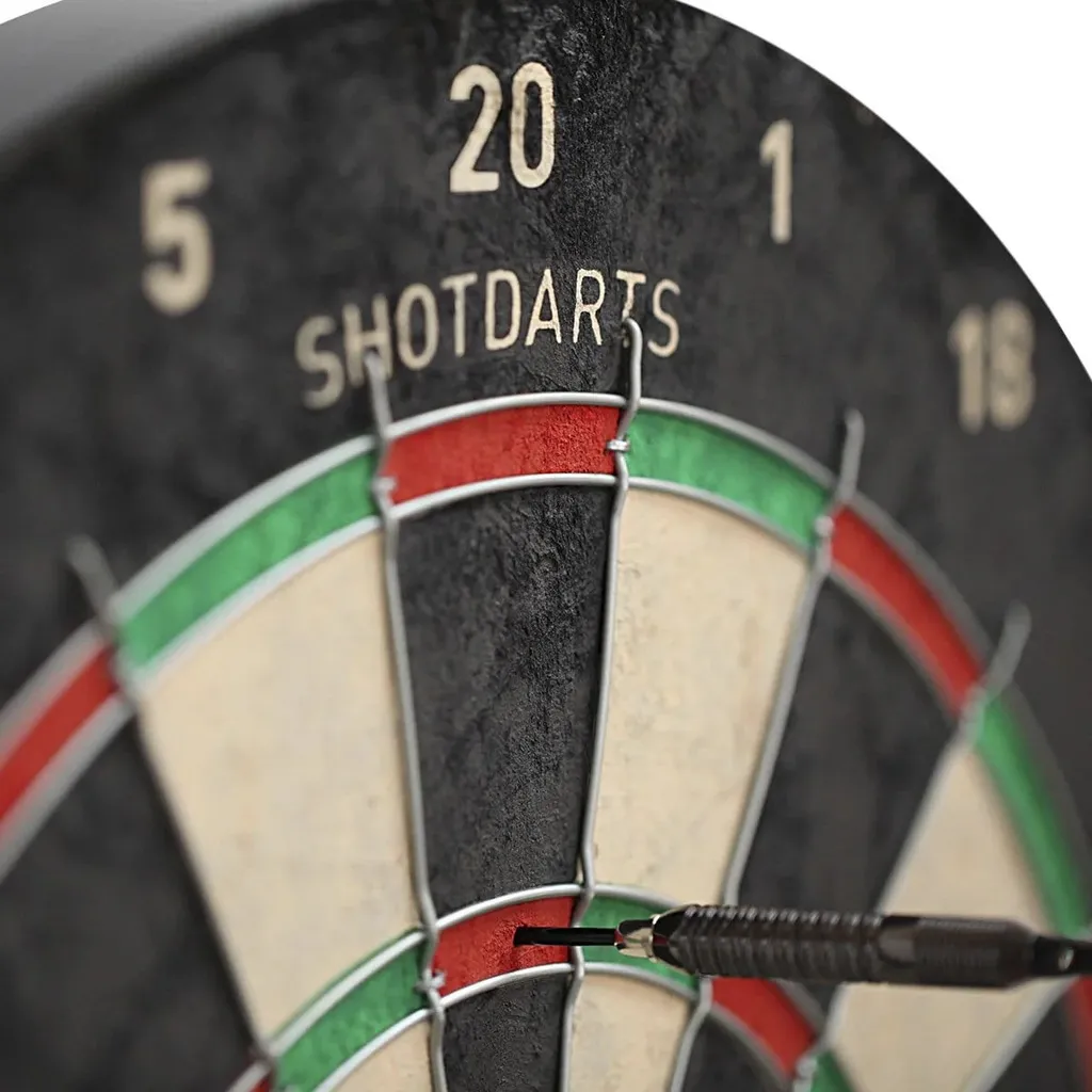 Rogue Dartboard Close.webp