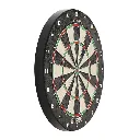 Rogue Dartboard Angled_1200X1200_2Fd18D50 4164 44C1 9B57 Da1E760Ed100.webp