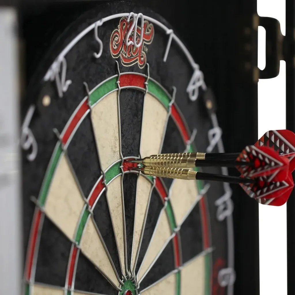 Renegade Dartboard Close_1200X1200_3F13Dda0 Effa 4503 9E19 D45D3379346A.webp
