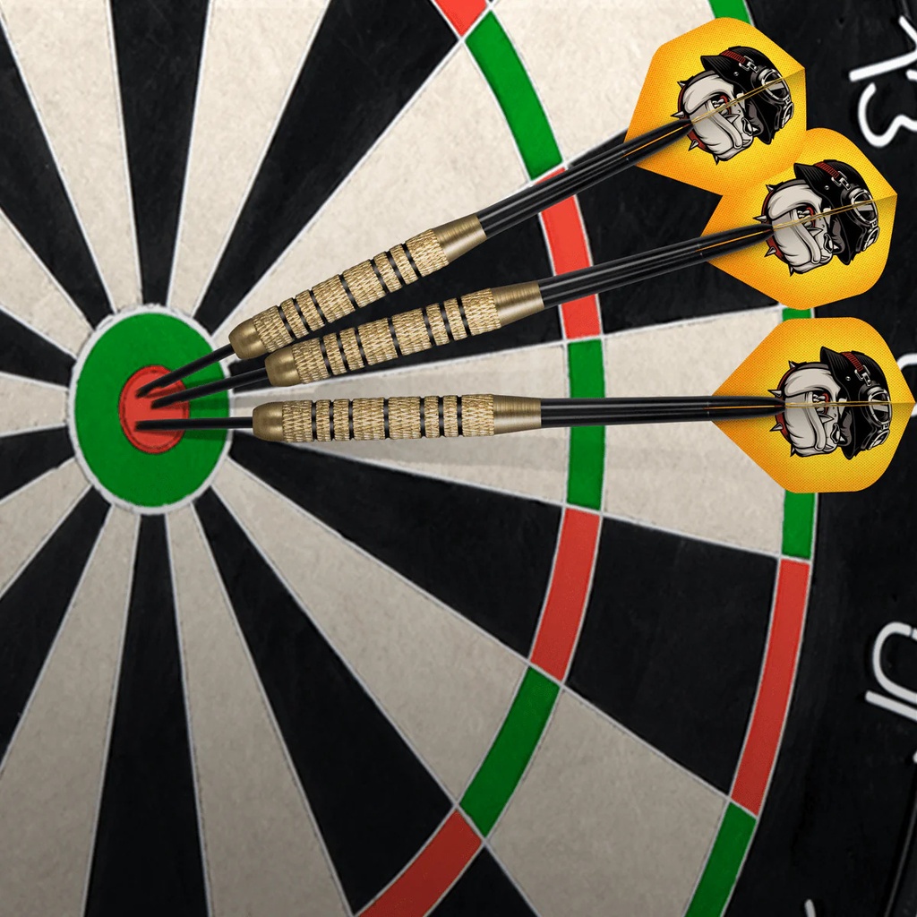 Duel Twin Pack Steel Dart