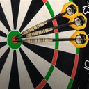 Duel Twin Pack Steel Dart
